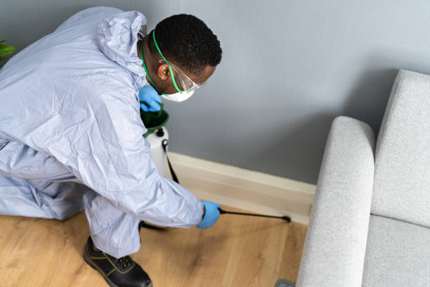 Real Estate Pest Inspections in Cornwall, PA